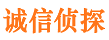 靖安市调查公司